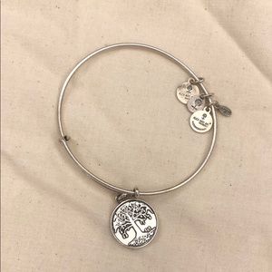 Silver Alex & Ani
